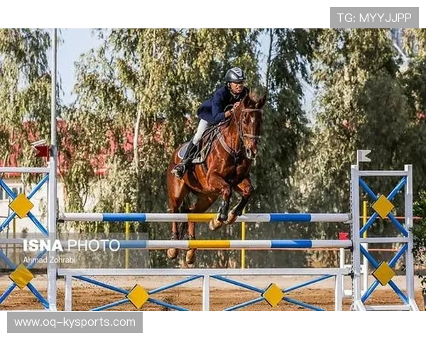 伊朗马术协会与非洲马术协会开展技术援助项目，提升当地水平。